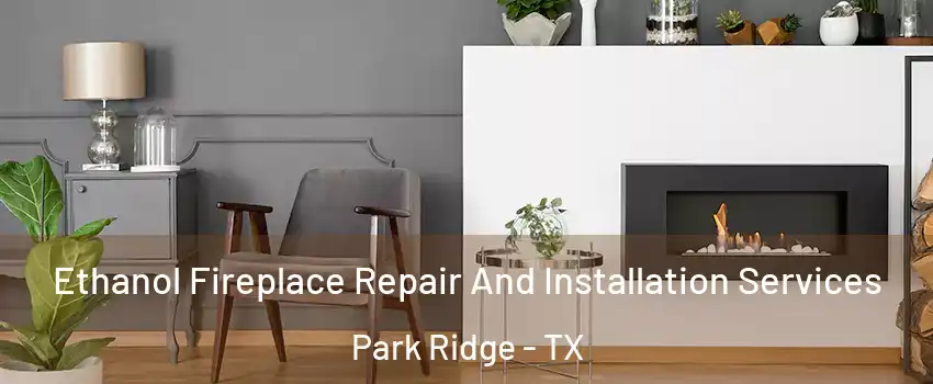 Ethanol Fireplace Repair And Installation Services Park Ridge - TX