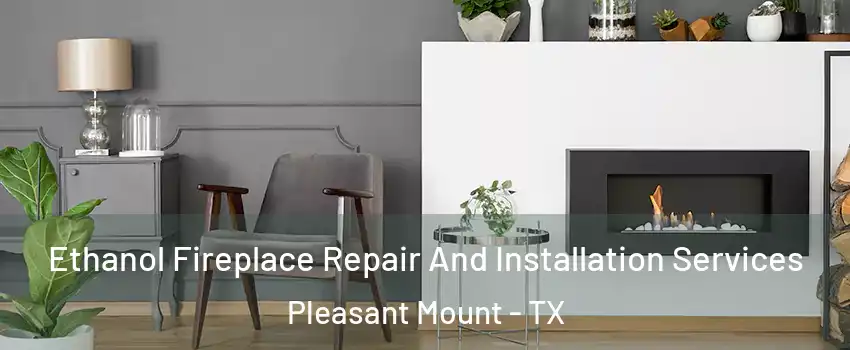 Ethanol Fireplace Repair And Installation Services Pleasant Mount - TX