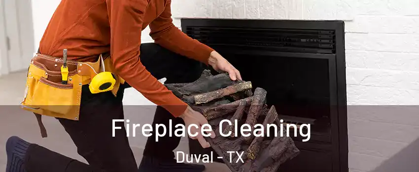 Fireplace Cleaning Duval - TX