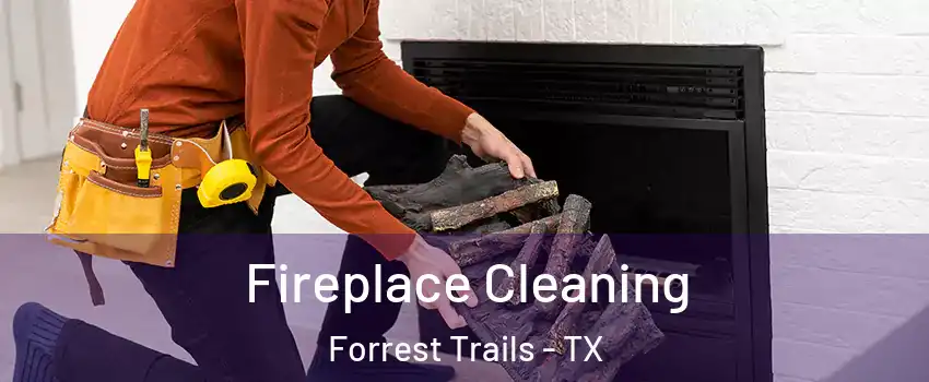 Fireplace Cleaning Forrest Trails - TX