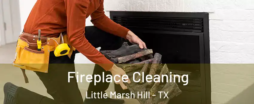 Fireplace Cleaning Little Marsh Hill - TX