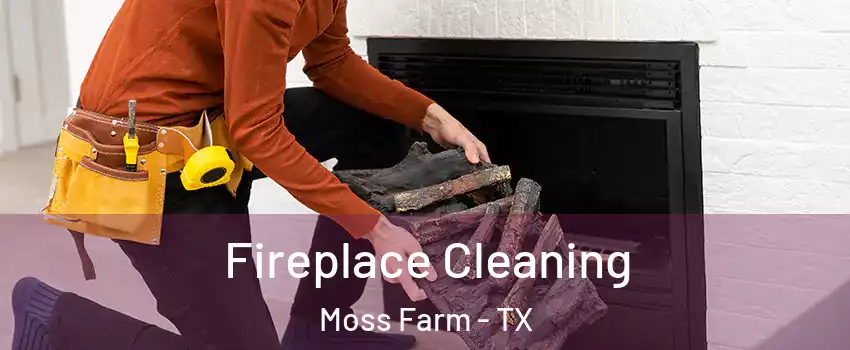 Fireplace Cleaning Moss Farm - TX