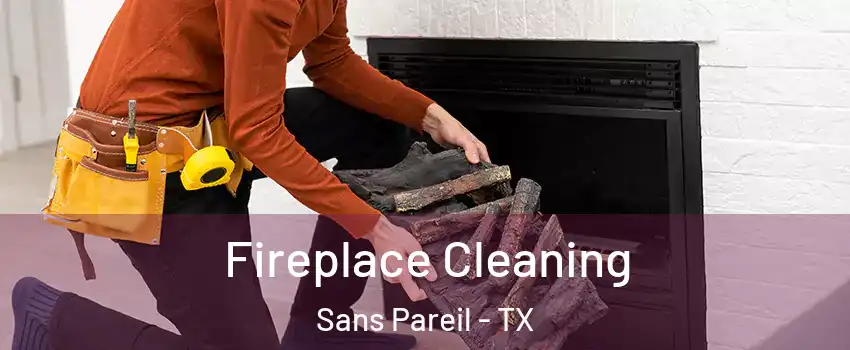Fireplace Cleaning Sans Pareil - TX