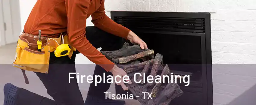 Fireplace Cleaning Tisonia - TX