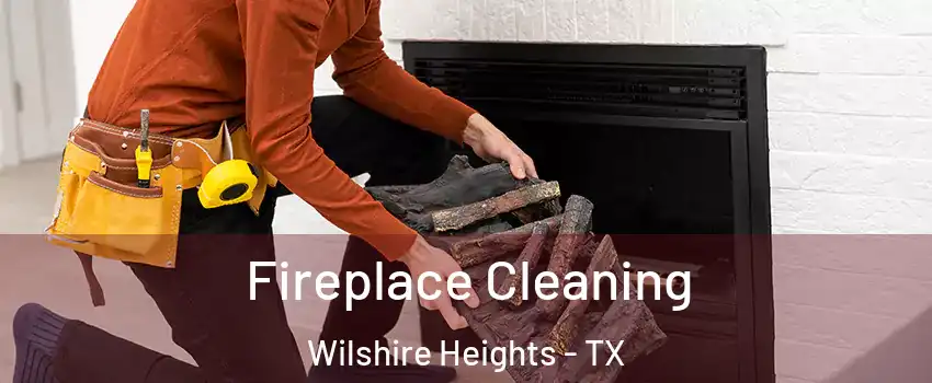 Fireplace Cleaning Wilshire Heights - TX