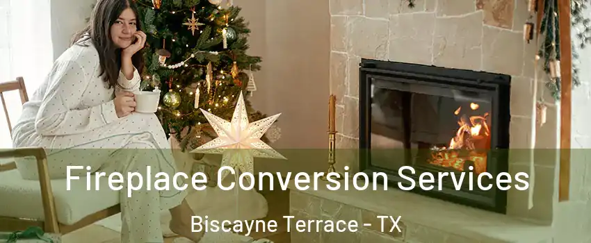 Fireplace Conversion Services Biscayne Terrace - TX