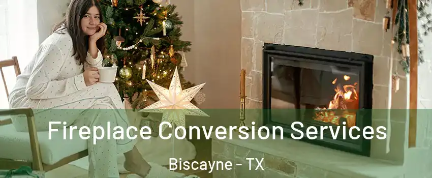 Fireplace Conversion Services Biscayne - TX