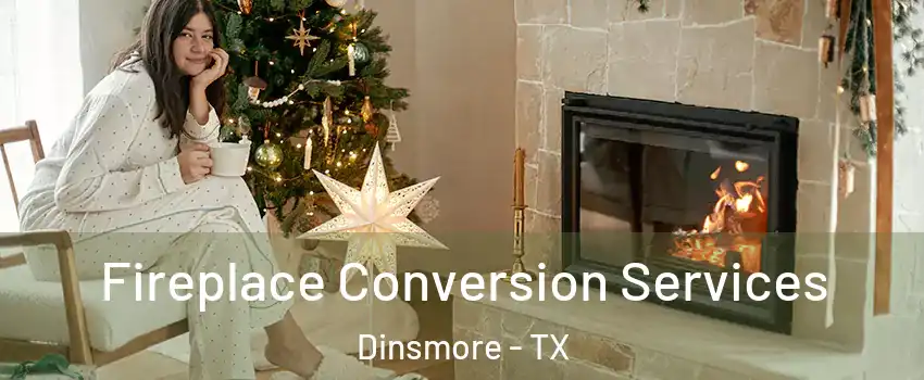 Fireplace Conversion Services Dinsmore - TX