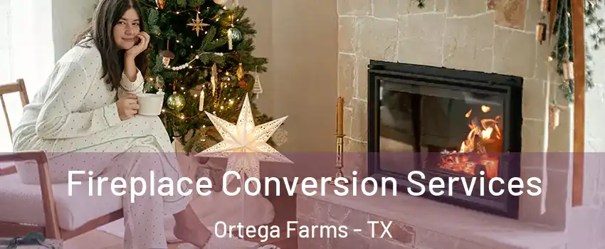 Fireplace Conversion Services Ortega Farms - TX