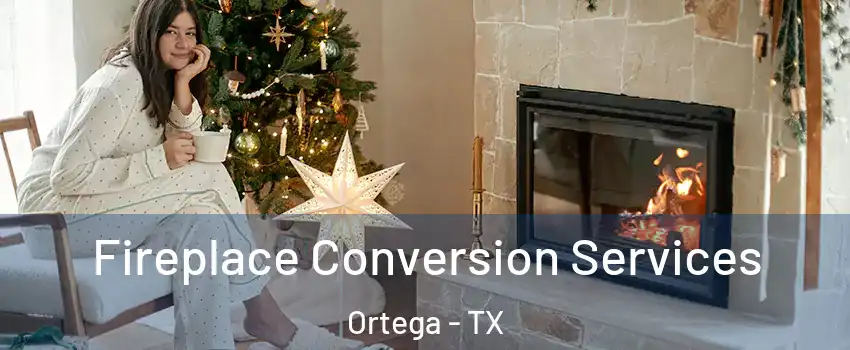 Fireplace Conversion Services Ortega - TX