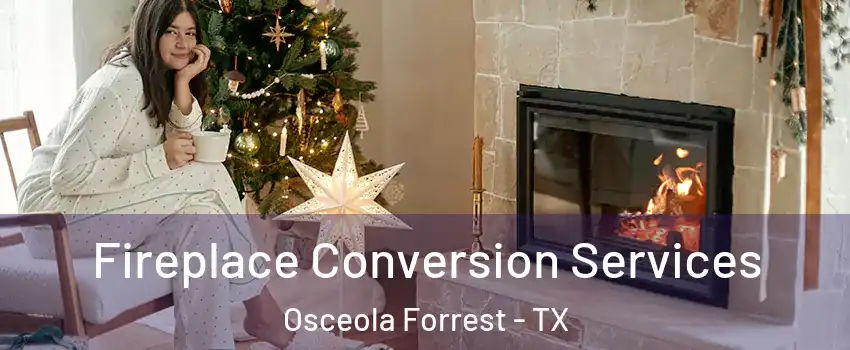 Fireplace Conversion Services Osceola Forrest - TX