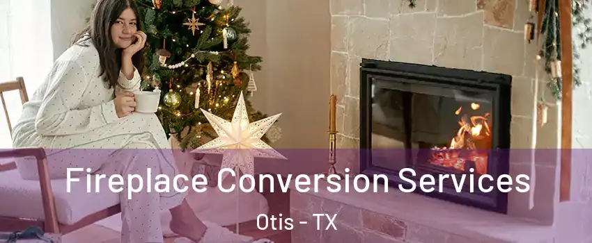 Fireplace Conversion Services Otis - TX