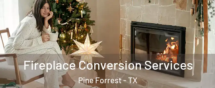 Fireplace Conversion Services Pine Forrest - TX