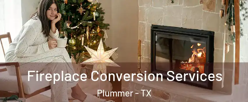 Fireplace Conversion Services Plummer - TX