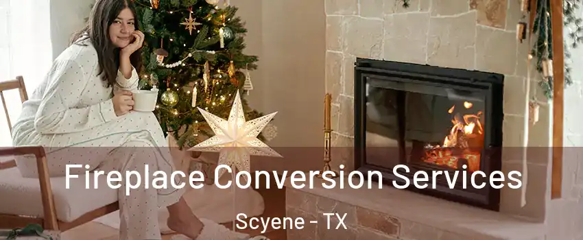 Fireplace Conversion Services Scyene - TX