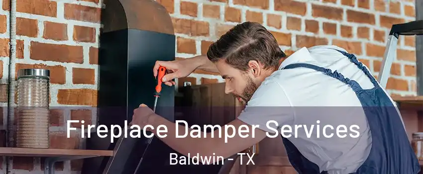 Fireplace Damper Services Baldwin - TX