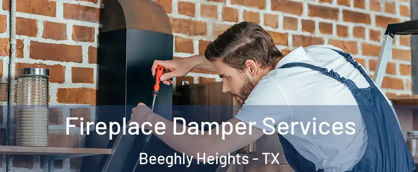 Fireplace Damper Services Beeghly Heights - TX