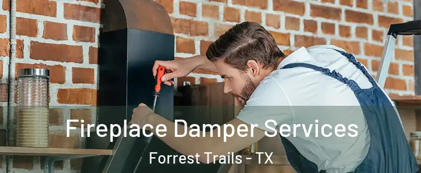 Fireplace Damper Services Forrest Trails - TX