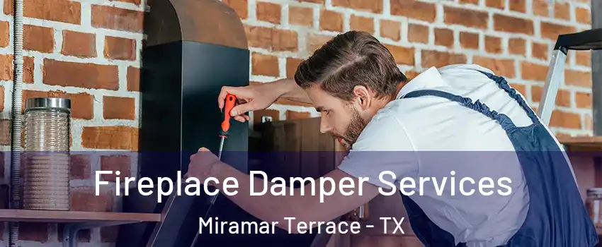 Fireplace Damper Services Miramar Terrace - TX