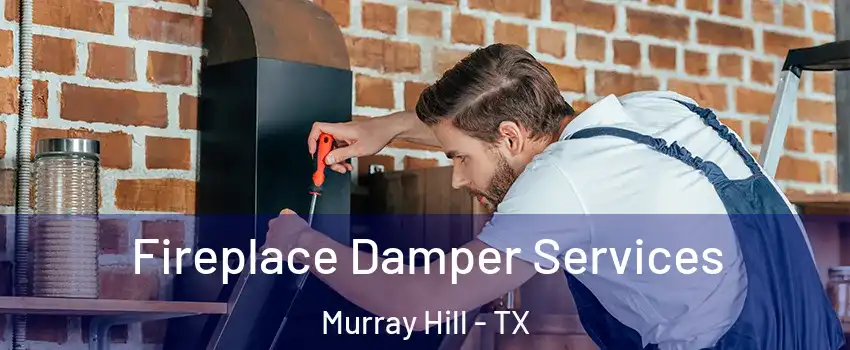 Fireplace Damper Services Murray Hill - TX
