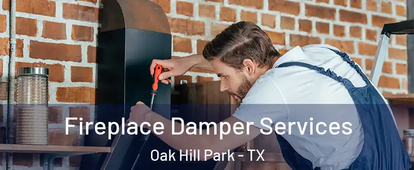 Fireplace Damper Services Oak Hill Park - TX