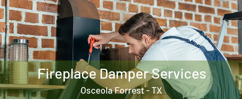 Fireplace Damper Services Osceola Forrest - TX