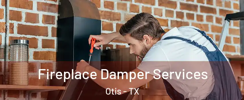 Fireplace Damper Services Otis - TX