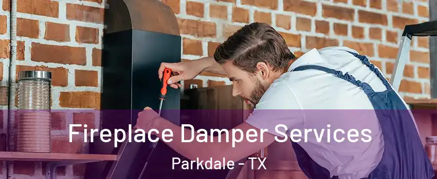 Fireplace Damper Services Parkdale - TX