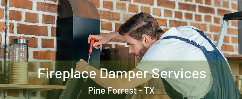 Fireplace Damper Services Pine Forrest - TX
