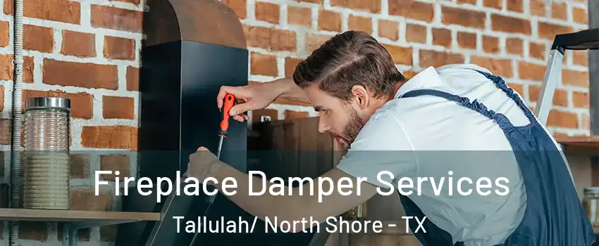 Fireplace Damper Services Tallulah/ North Shore - TX
