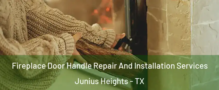 Fireplace Door Handle Repair And Installation Services Junius Heights - TX