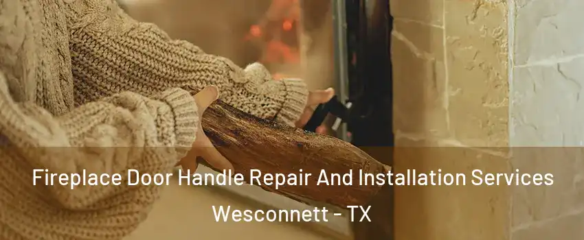 Fireplace Door Handle Repair And Installation Services Wesconnett - TX