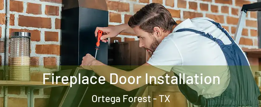 Fireplace Door Installation Ortega Forest - TX