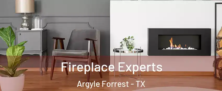 Fireplace Experts Argyle Forrest - TX