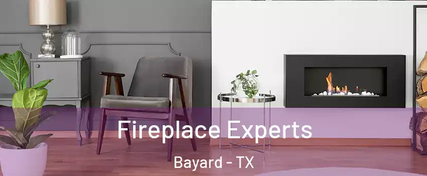 Fireplace Experts Bayard - TX