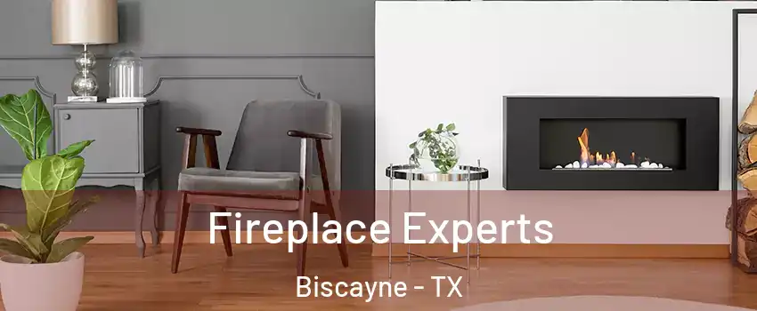 Fireplace Experts Biscayne - TX