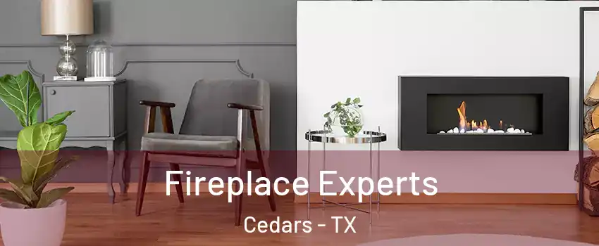 Fireplace Experts Cedars - TX