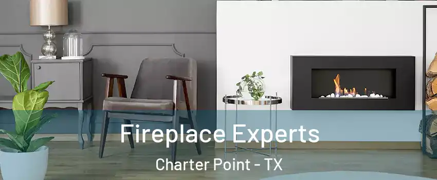 Fireplace Experts Charter Point - TX