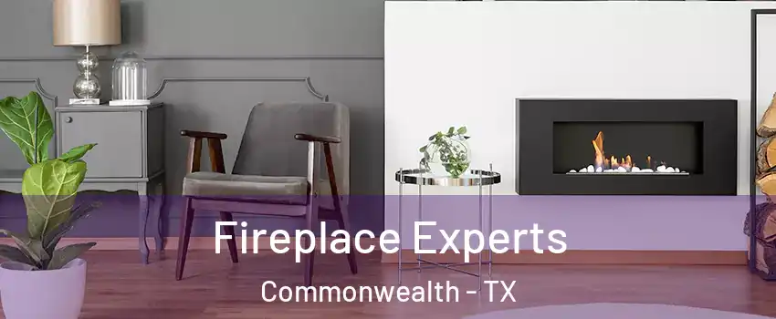 Fireplace Experts Commonwealth - TX