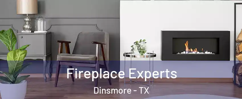 Fireplace Experts Dinsmore - TX
