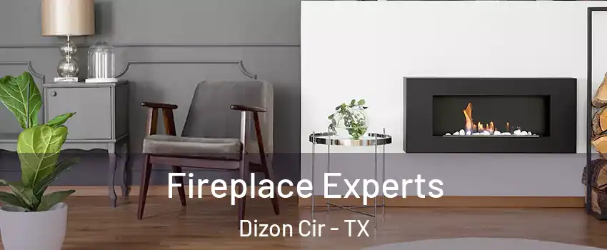 Fireplace Experts Dizon Cir - TX