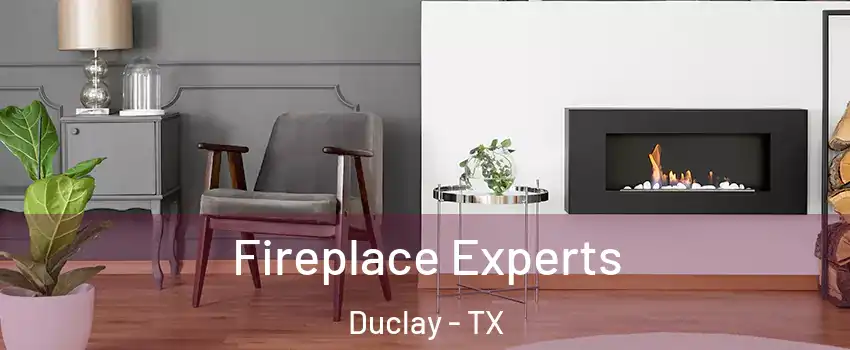 Fireplace Experts Duclay - TX