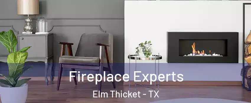 Fireplace Experts Elm Thicket - TX