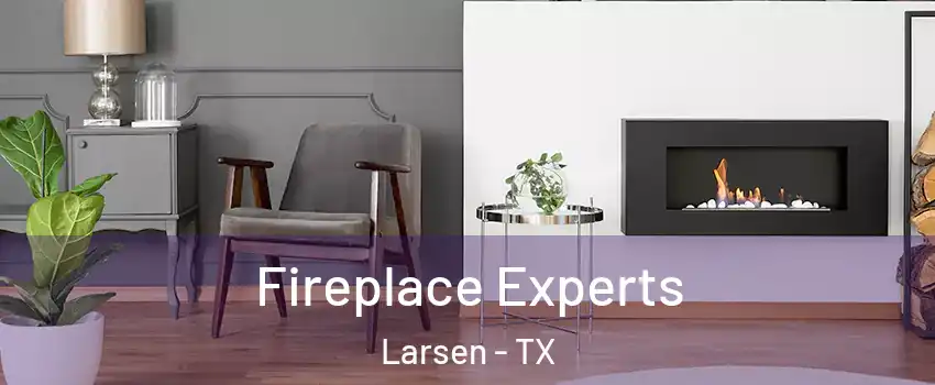 Fireplace Experts Larsen - TX