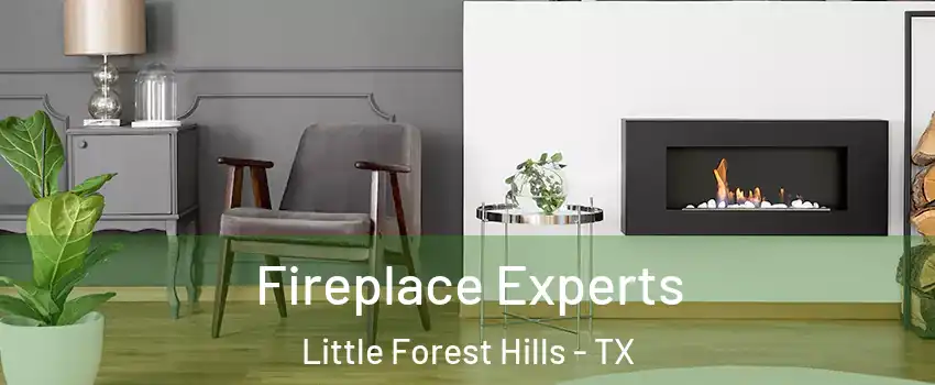Fireplace Experts Little Forest Hills - TX