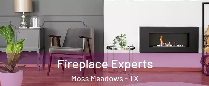 Fireplace Experts Moss Meadows - TX