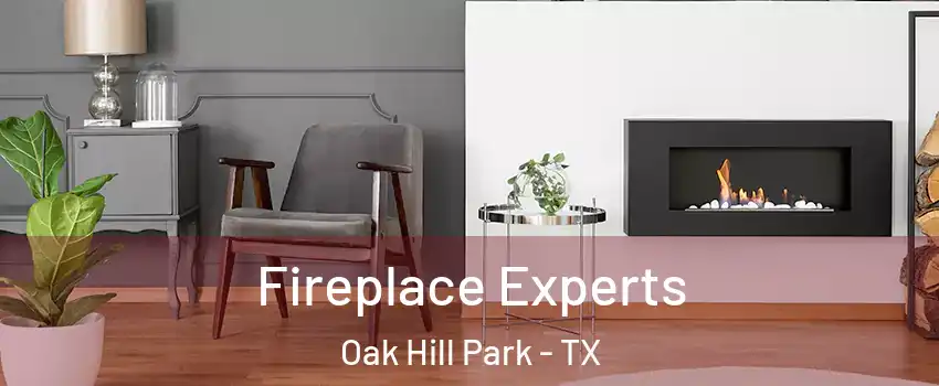 Fireplace Experts Oak Hill Park - TX