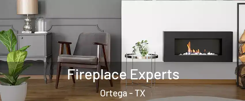 Fireplace Experts Ortega - TX