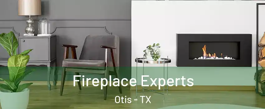 Fireplace Experts Otis - TX