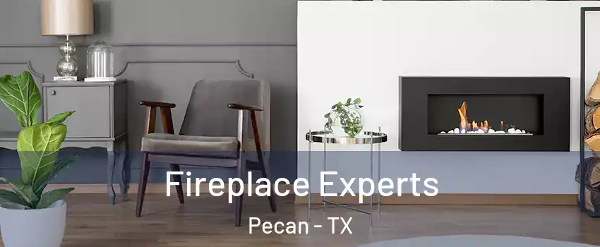 Fireplace Experts Pecan - TX